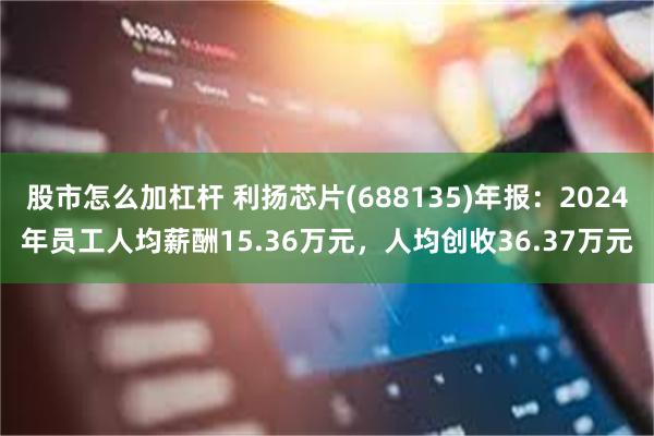 股市怎么加杠杆 利扬芯片(688135)年报：2024年员工人均薪酬15.36万元，人均创收36.37万元