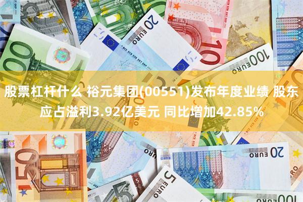股票杠杆什么 裕元集团(00551)发布年度业绩 股东应占溢利3.92亿美元 同比增加42.85%
