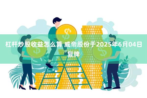 杠杆炒股收益怎么算 威帝股份于2025年6月04日复牌