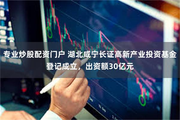 专业炒股配资门户 湖北咸宁长证高新产业投资基金登记成立，出资额30亿元